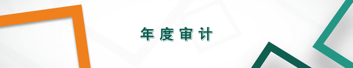 年度審計