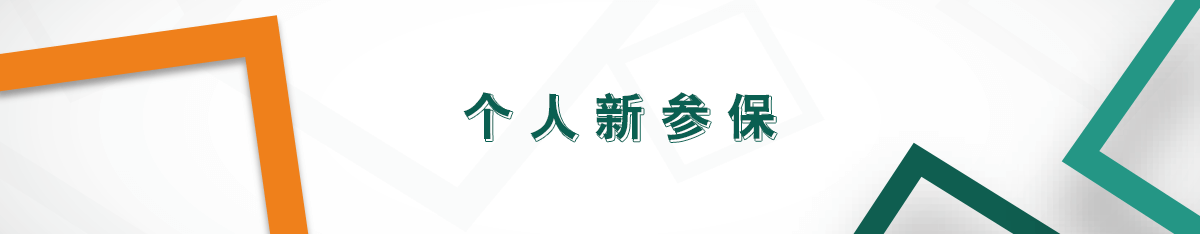 個人新參保 個人新參保