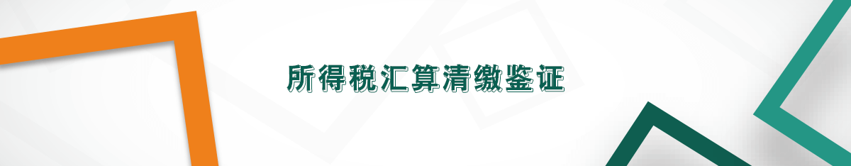 所得稅匯算清繳鑒證 所得稅匯算清繳鑒證