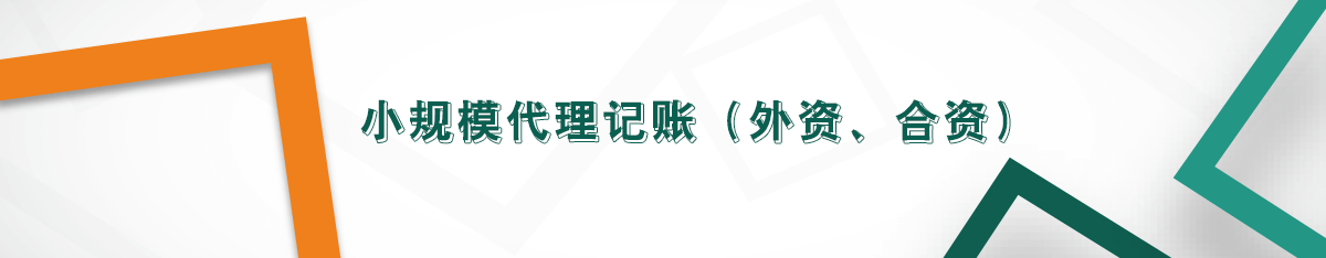 小規模代理記賬（外資、合資）