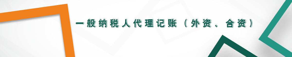 外資一般納稅人