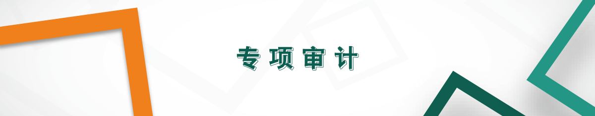 專項(xiàng)審計(jì)